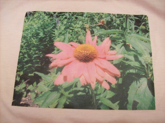 14-16, light pink, pink flower