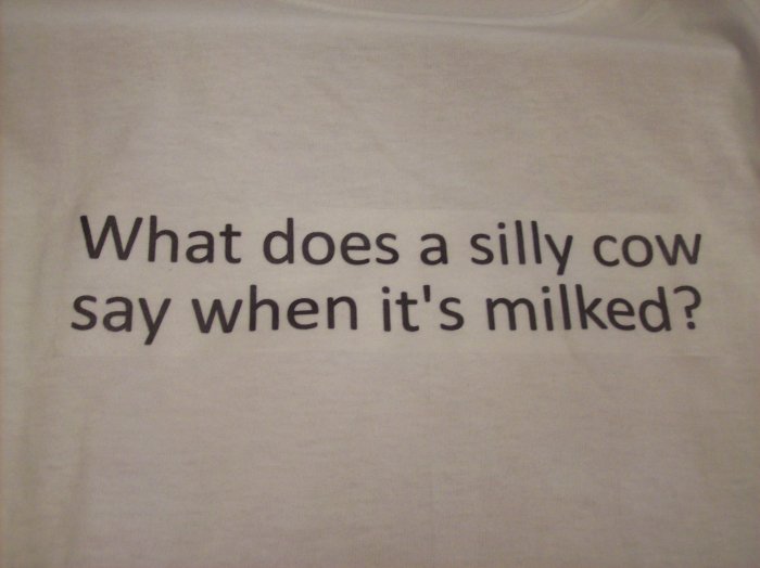 34-36, white, cow joke