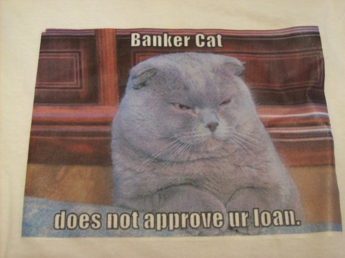 34-36, white, LOL cat - banker cat