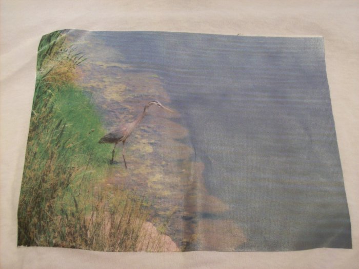 XL, white, blue heron