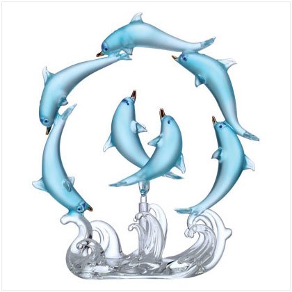 Playful Dolphin Circle