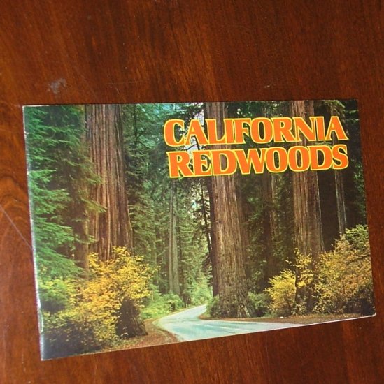 California Redwoods by E F Clements