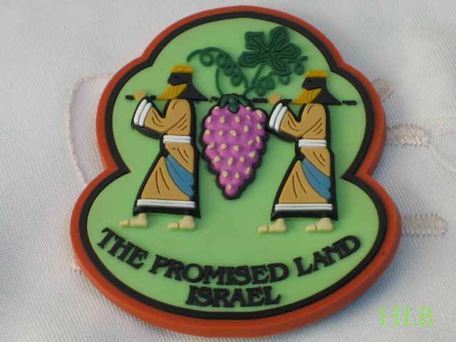 Israel 3D Magnet The Promised Land