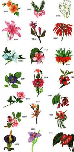 Exocit Flowers