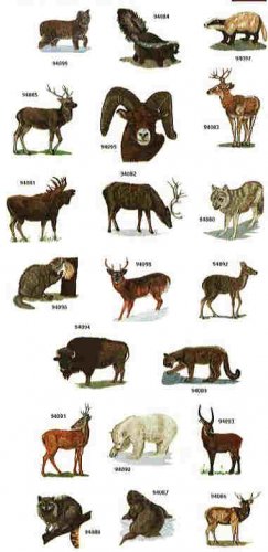 WILDLIFE 1