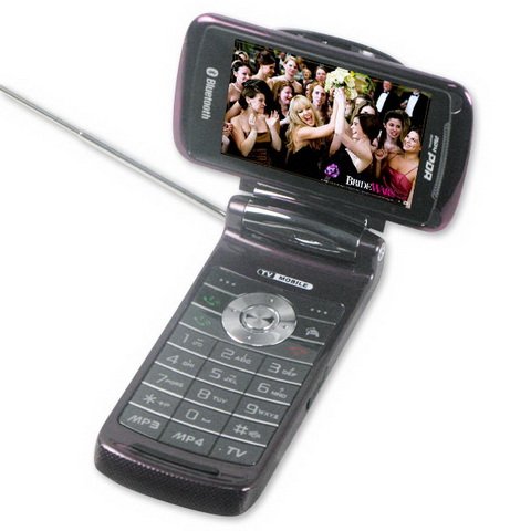 Quad Band Flip TV Cell Phone MV10 With Retato Screen
