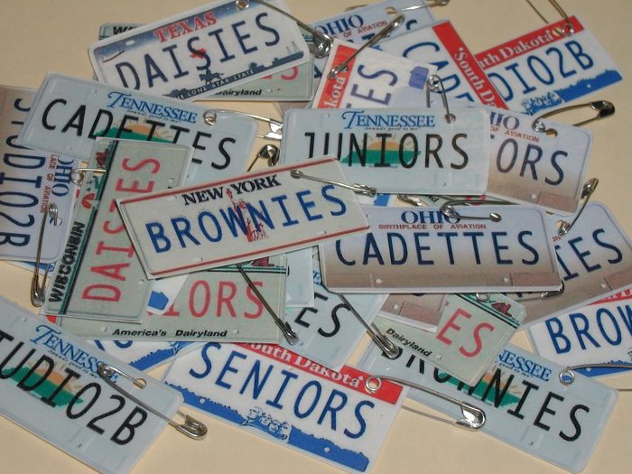 25 - License Plate Scout SWAPS - You customize STATE & MESSAGE