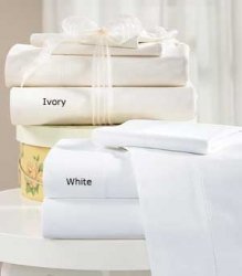 600TC Pillow Pair 100% Egyptian Cotton Ivory Color