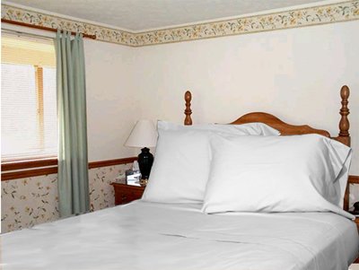 queen size Flat sheet 100% Egyptian cotton 300 thread counts
