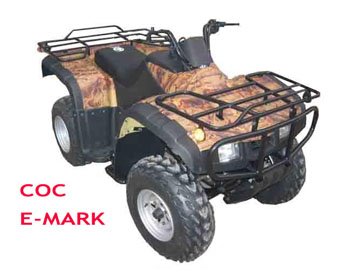 Wsb06 Atv01