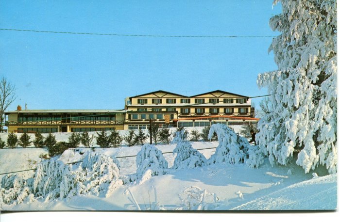 Chestnut Mountain Lodge Illinois Post Card