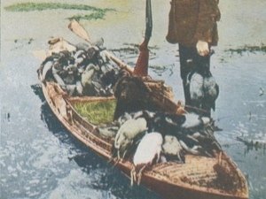 DUCK HUNTING STEREOVIEW CARD