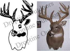 Custom Decal Package Deal