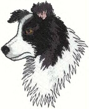 Border Collie Head Machine Embroidered on Hand Towel