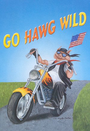 Go HAWG WILD ~ Harley Davidson Motorcycle ~ Large Flag