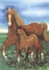 Mare & Foal Horse Large Flag