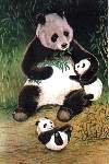 Panda Bear Large Flag