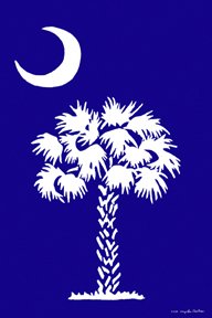 South Carolina Large Flag