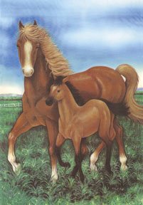 Mare & Foal Horse Garden Mini Flag