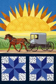 Amish Sunrise Summer Large Flag