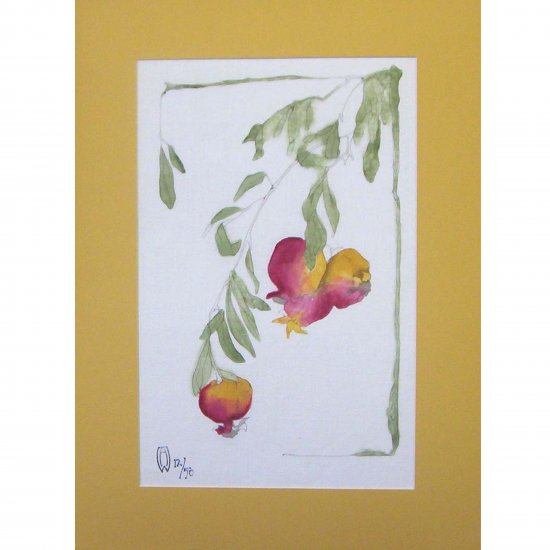 Pomegranate