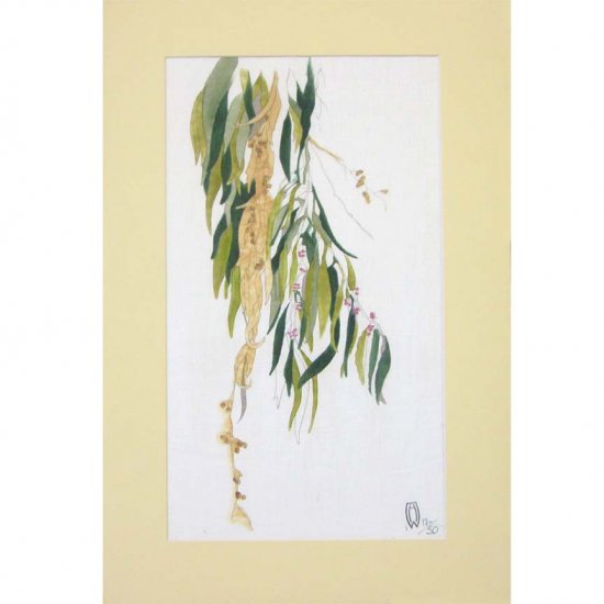 Eucalyptus