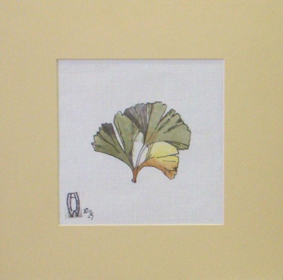 Ginkgo