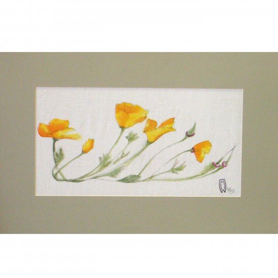 Poppy, horizontal