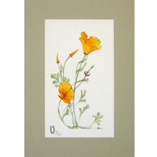 Poppy, vertical