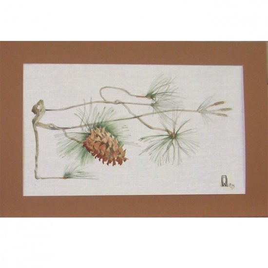 Pine Cone