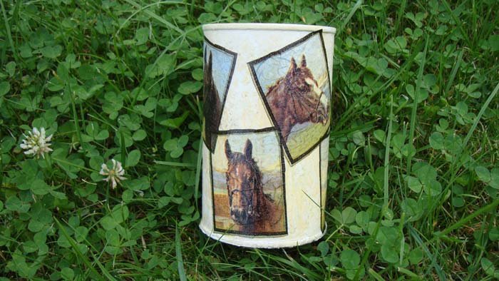 Can with horses