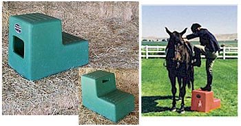 2 Step Horse Mounting block with Storage High Country Plastics