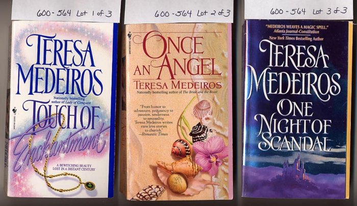 Lot of 3 Teresa Medeiros One Night, Touch of Enchantment, Once an Angel PB