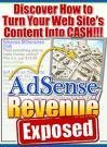 AdSense Revenue Exposed