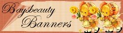 Banner or Logo for your eCrater Store