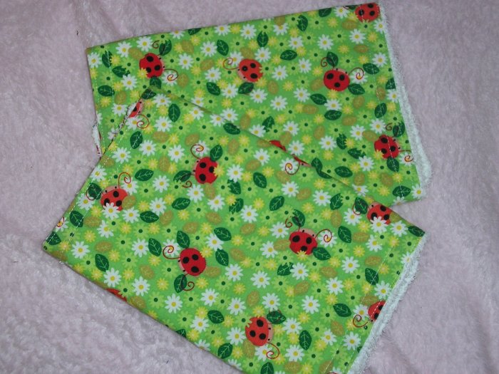 Ladybugs Burp Set