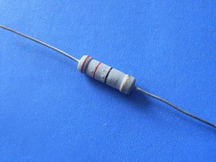 2W 22 ohm resistor (Item# R0063)