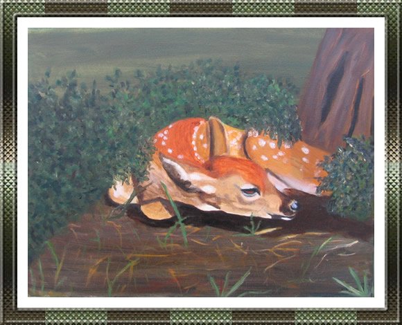 Fawn