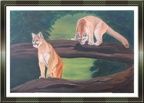 Cougars