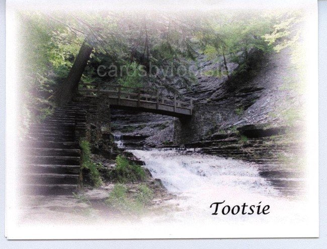 Stony Brook State Park