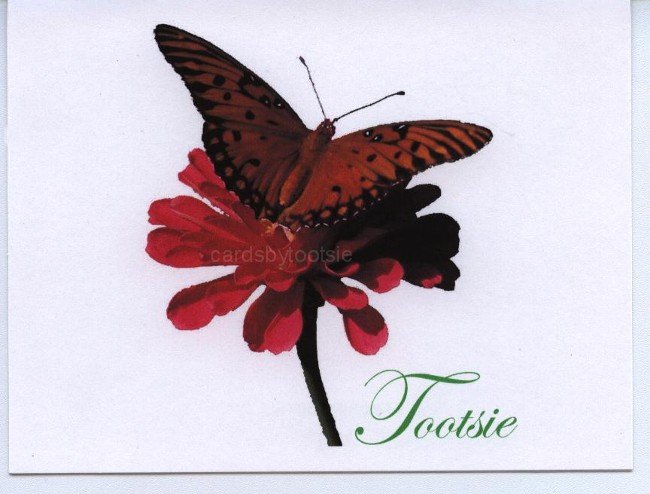 Butterfly cutout