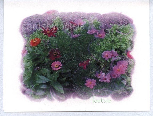 Tiny Garden