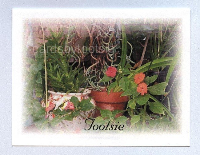 Flowerpot