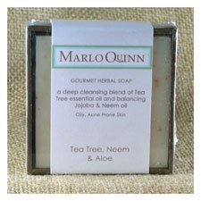Tea Tree, Neem & Aloe Complexion Soap