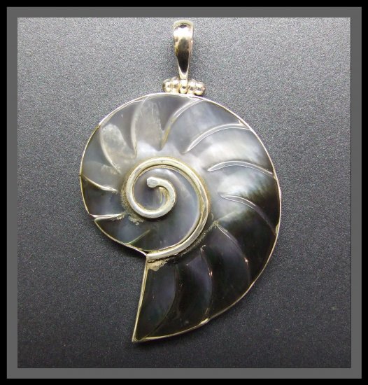 Silver Pendant and Shell - Nautilus Design