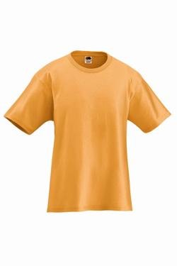 Adult Short Sleeve 100% Cotton T-Shirts 363A