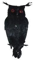 Owl - Black