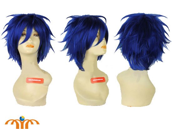Miku Hatsune Kaito Wig!