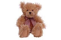 Shaggy Bear