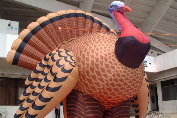 THANKSGIVING SIGNS FOOD WILD TURKEY PROP HUNTING GAME BIRDS OUTDOOR SPORTSMAN ANIMALS GUNS SHOWS